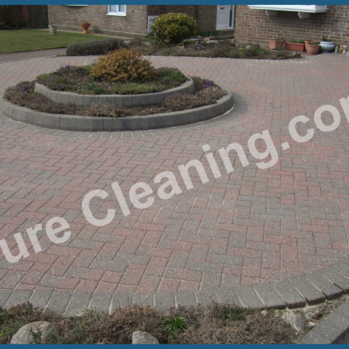 Cleaned Block Pave area